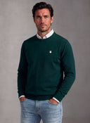 Jersey Cuello Caja Verde Hombre